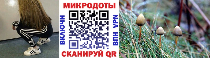 Галлюциногенные грибы мухоморы  Очёр 
